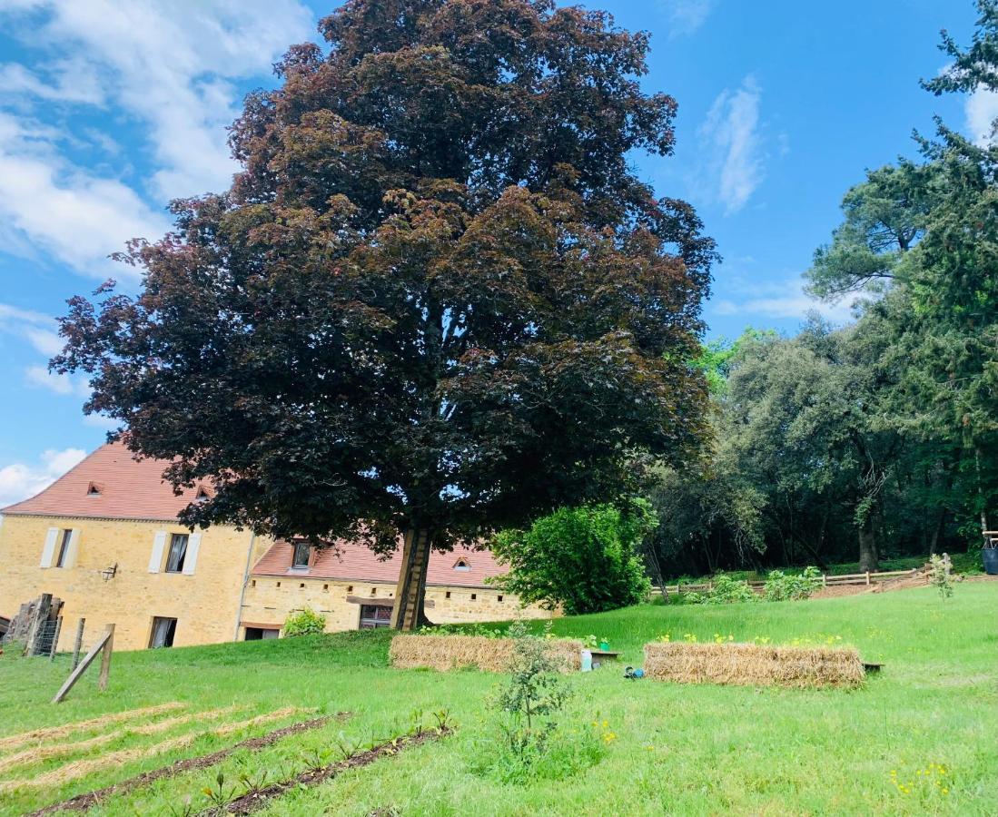Villa L'écrin des symes Simeyrols Esterno foto